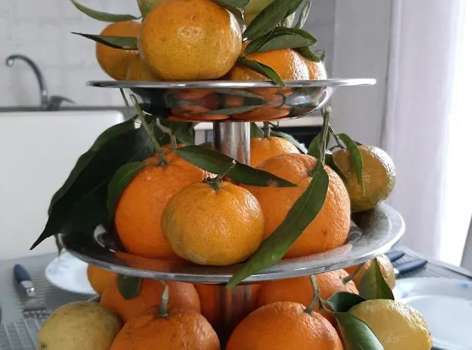 招待所 House Eraclea